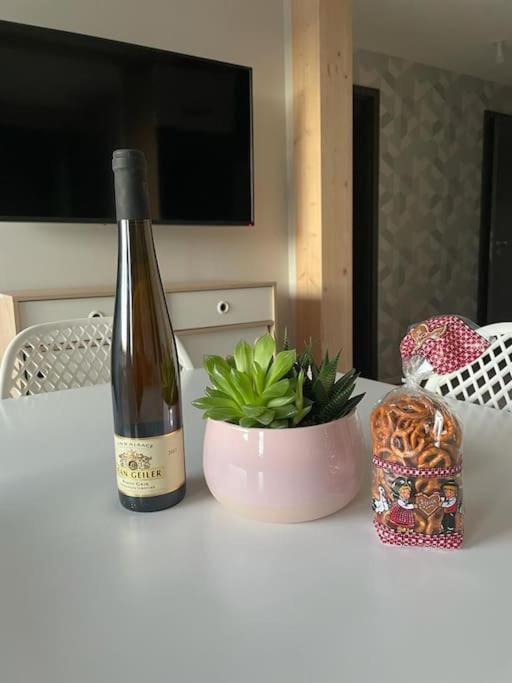 Le Scandinave Centre Ville/2 Chambres + Terrasse Colmar Ngoại thất bức ảnh
